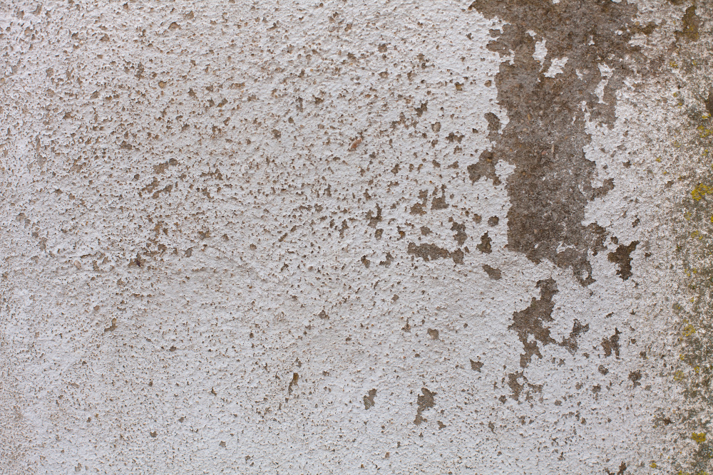 uso de pintura antimoho para evitar humedades